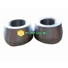 1/8 Inch Threadolet Pipe Joints 1
